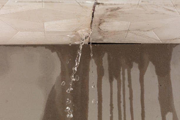 Professional Flood Damage Cleanup technician working in Austinburg, OH
